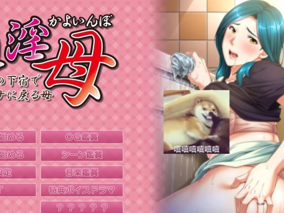【PC/2D/ADV/汉化/CV】通银母~在儿子的房间变回女人的母亲 云汉+CG档【2.6G】